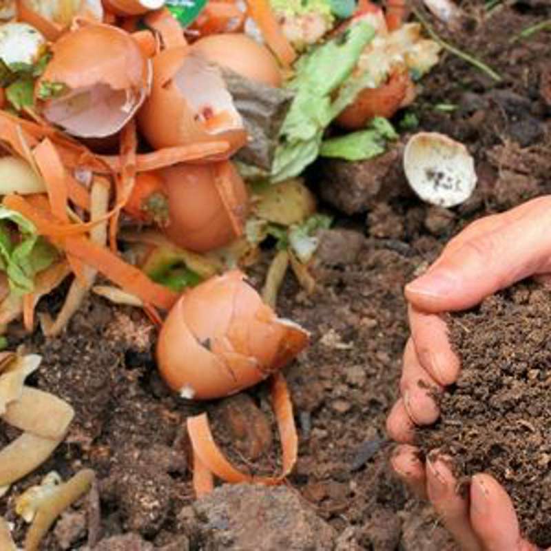 Lad os blive danmarksmestre i affaldssortering