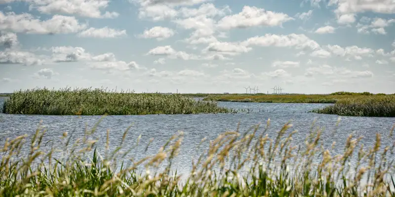 Bestyrelsen